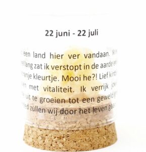 Kids B-Day Rocks - Afbeelding 9