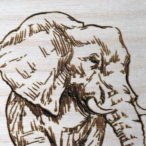 40