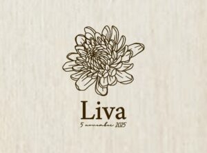 november: chrysant